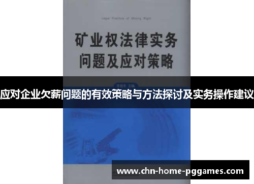 应对企业欠薪问题的有效策略与方法探讨及实务操作建议