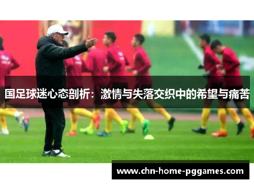 国足球迷心态剖析：激情与失落交织中的希望与痛苦