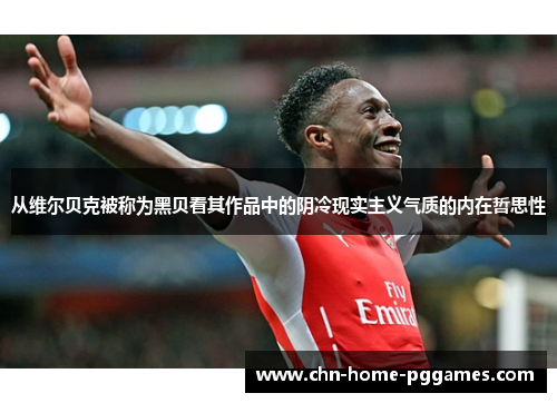 从维尔贝克被称为黑贝看其作品中的阴冷现实主义气质的内在哲思性 从维尔贝克被称为黑贝看其作品中的阴冷现实主义气质的内在哲思性