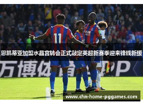 恩凯蒂亚加盟水晶宫转会正式敲定英超新赛季迎来锋线新援